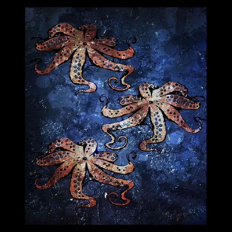 Octopus octopus