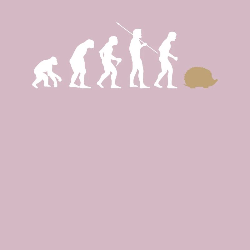 Évolution hérisson