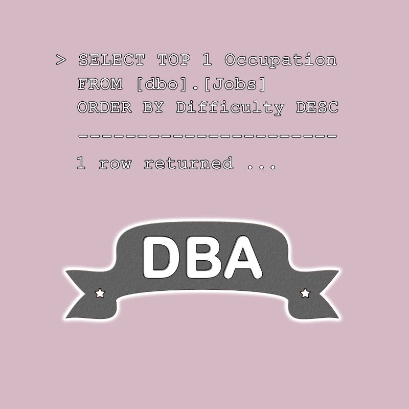Database Administrator DBA SQL Funny