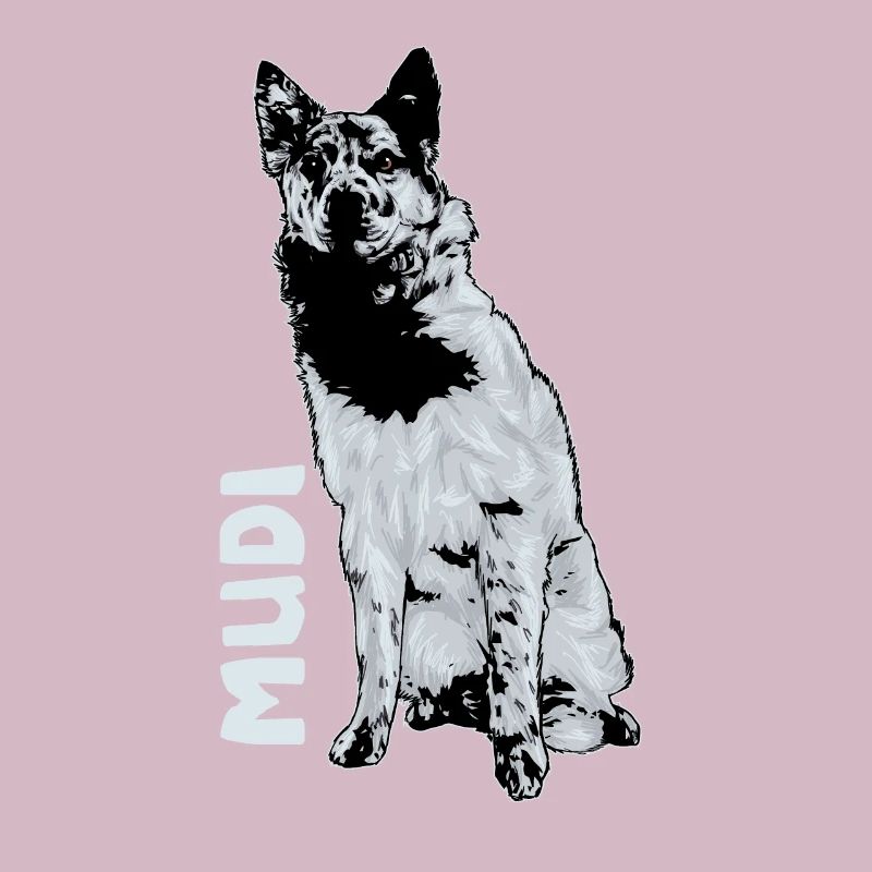 Mudi