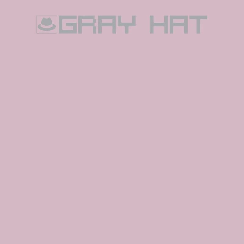 Gray hat hacker type