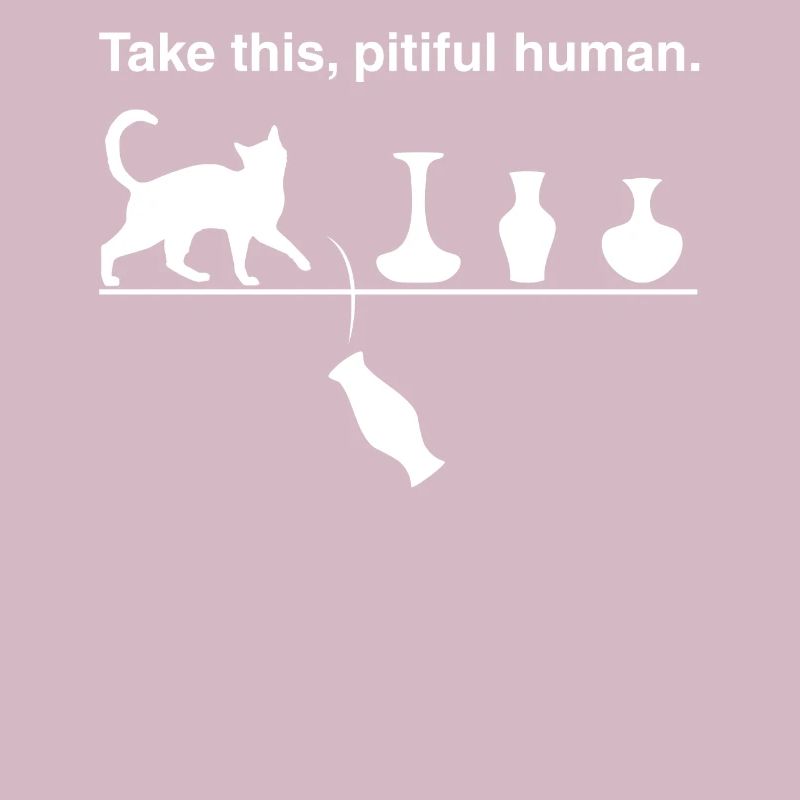 Take this pitiful human - funny cats humor joke