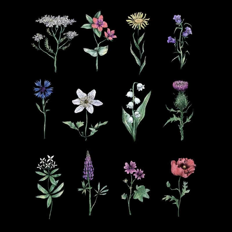 Différentes fleurs sauvages