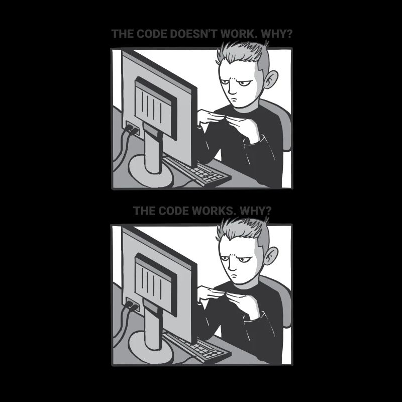 "My Code Works. WHY?" | Programmer