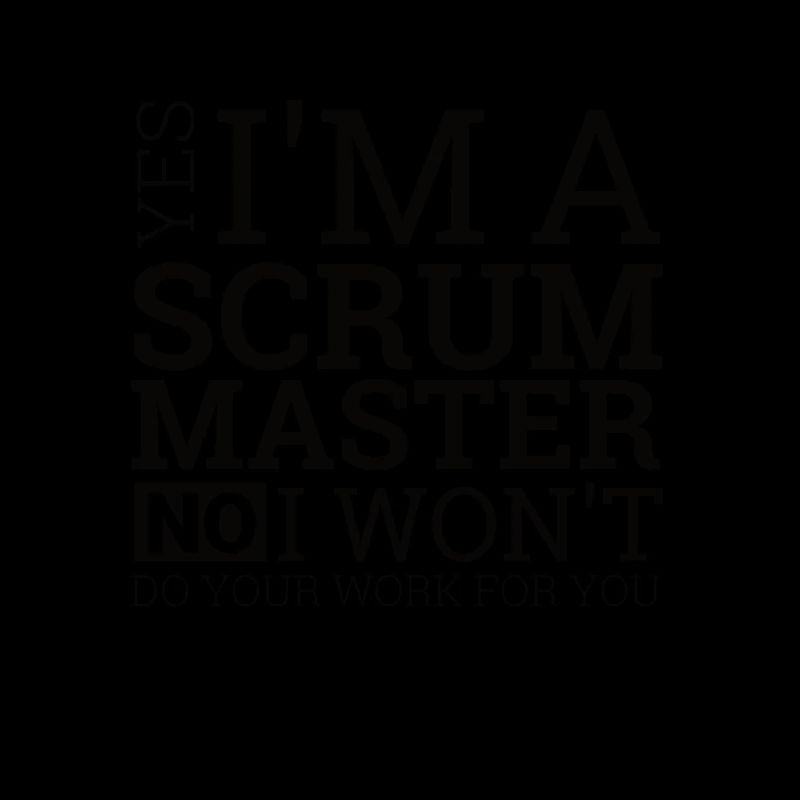 "Scrum Master" | Programmierer
