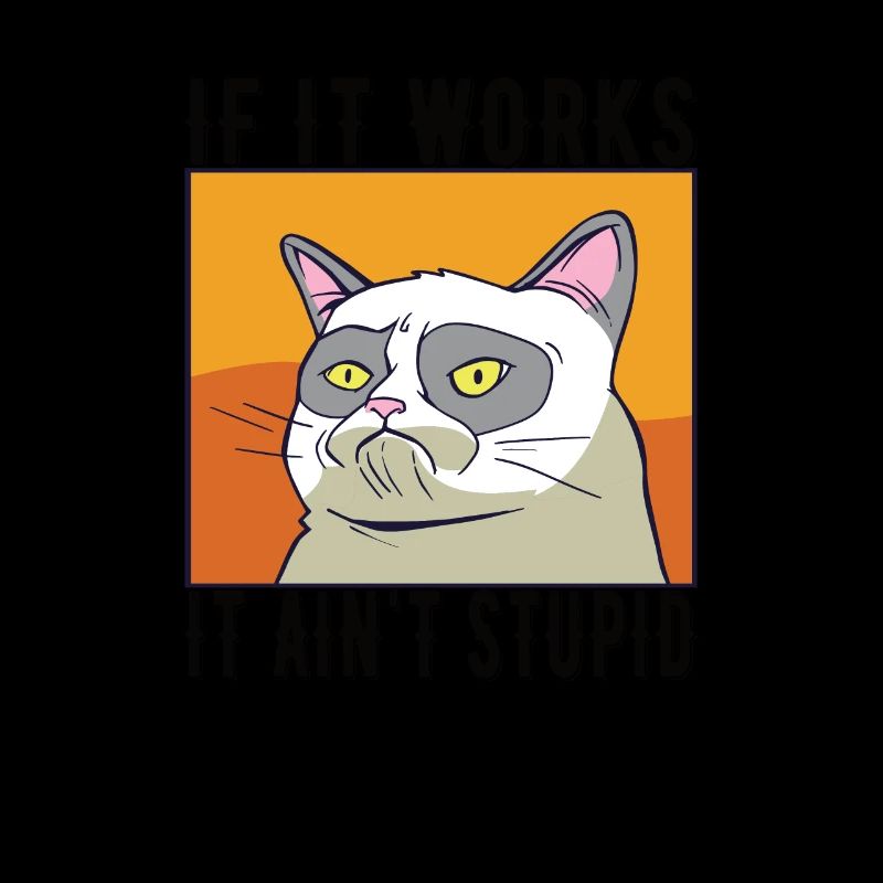 Cat meme Si ça marche, ce n'est pas stupide