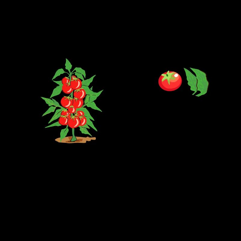 Tomate