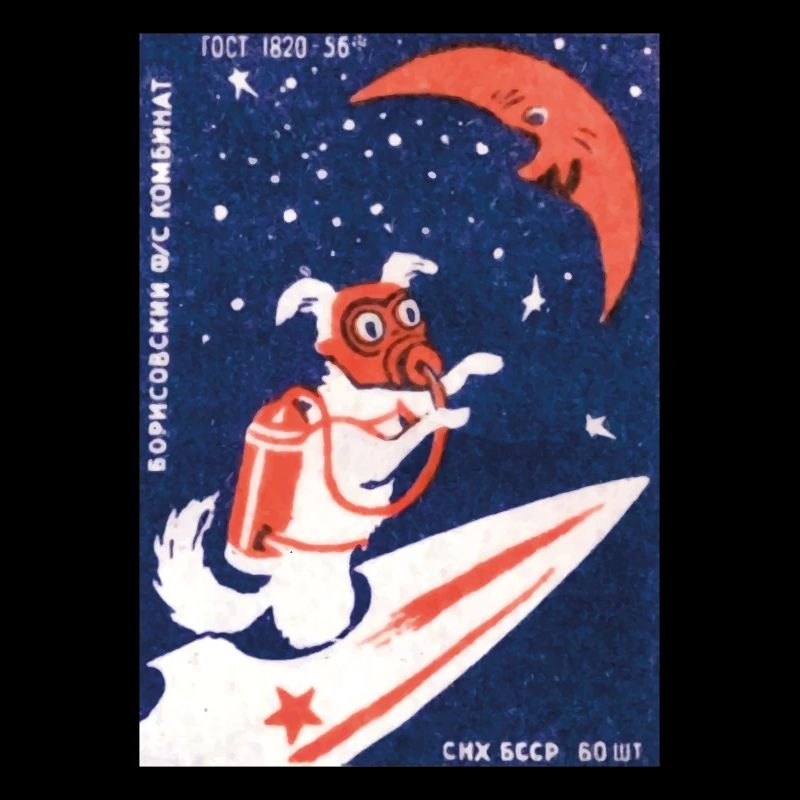 Laika URSS URSS Chien de l’espace cadeau Russie