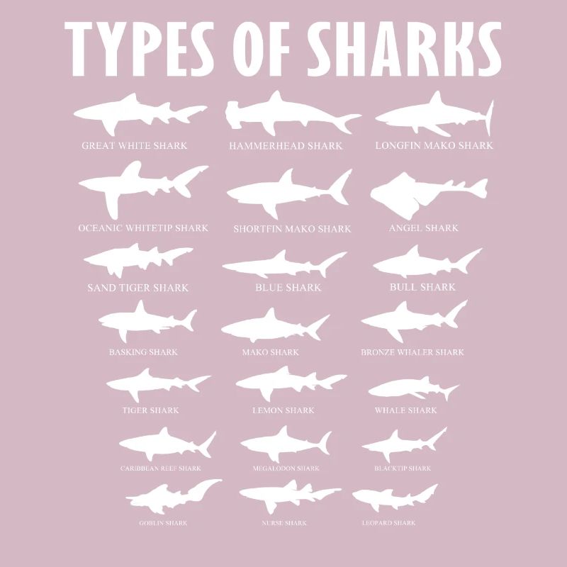 types de requins