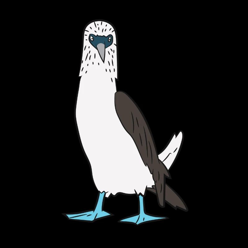 Cute Blue Foot Booby Bird Dancing Blue Foot