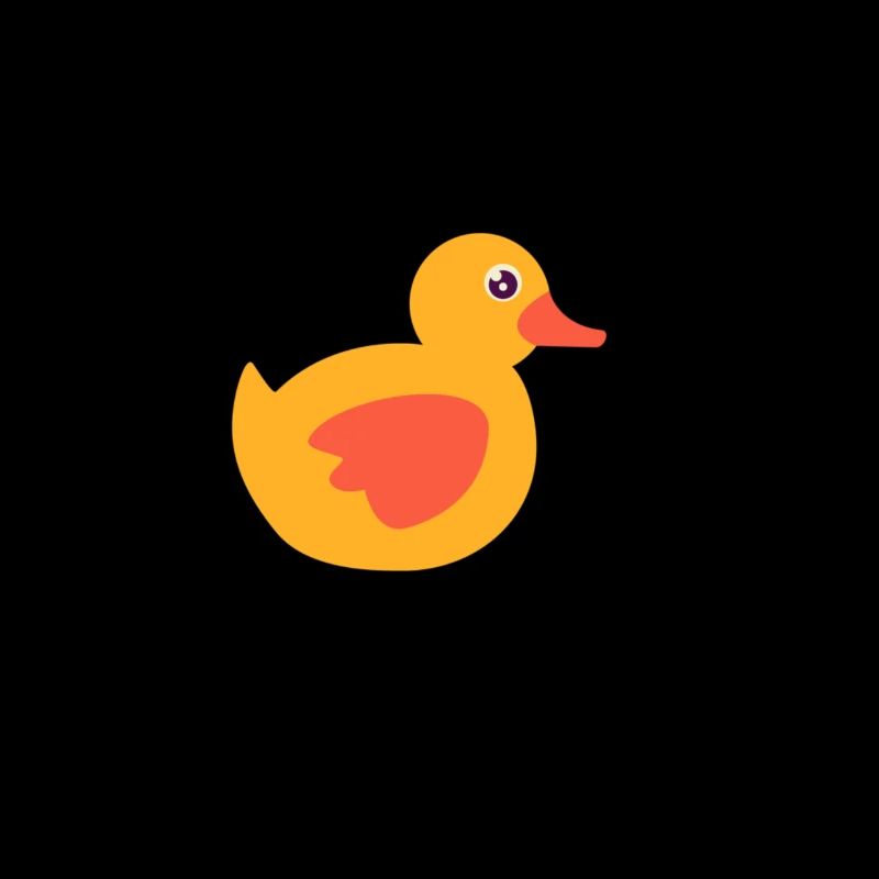Canards en caoutchouc Chasse aux oiseaux Canards Cadeau