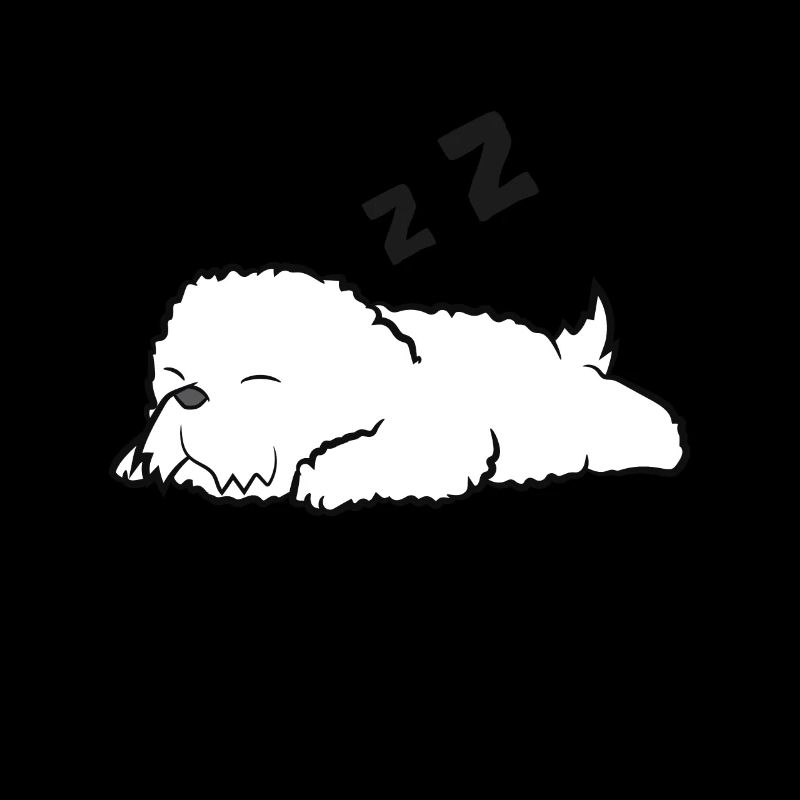 Sleeping Bichon Frise Lazy Bichon Frise Dog
