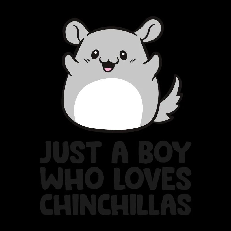 Süßes Chinchilla Nur ein Junge, der Chinchillas