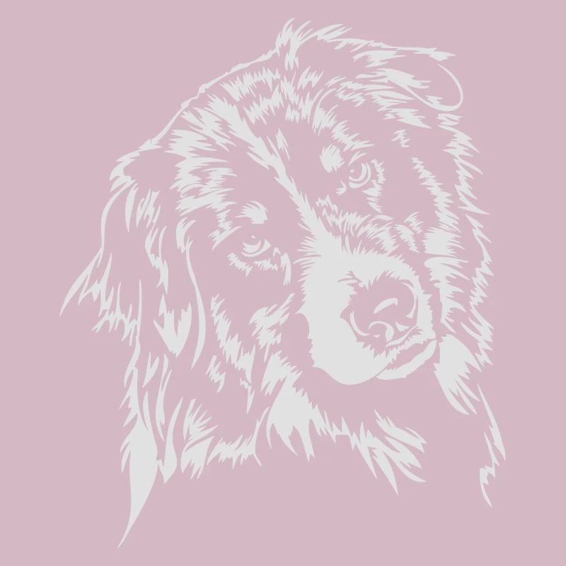 Wilsigns Australian Shepherd