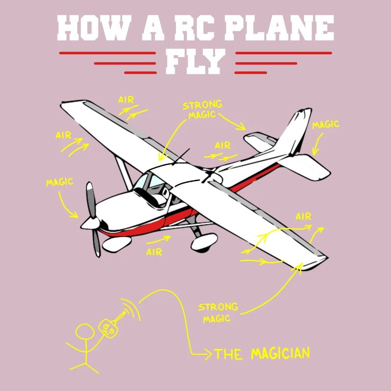 RC Plane Remote Controlled Model Funny Diagram