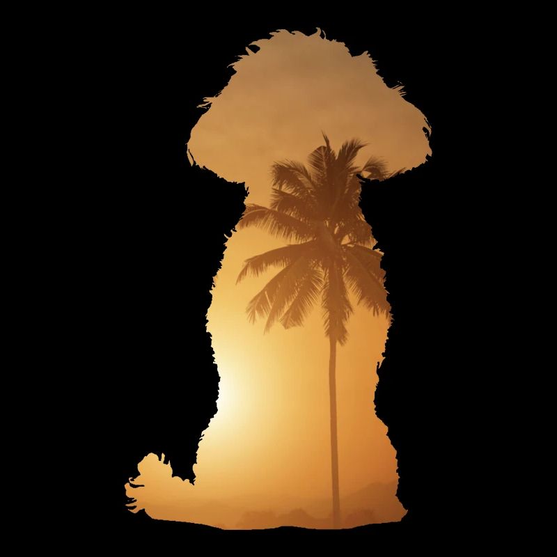 Plage d’été - Caniche