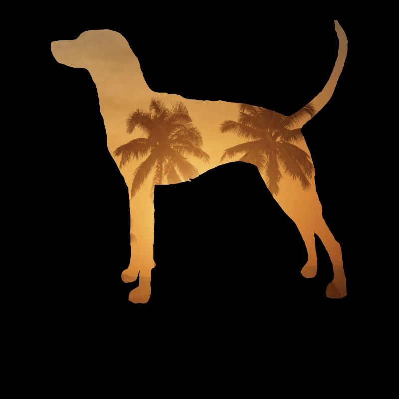 Plage d’été - Redbone Coonhound