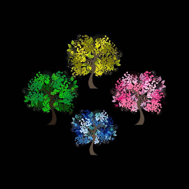 Baum