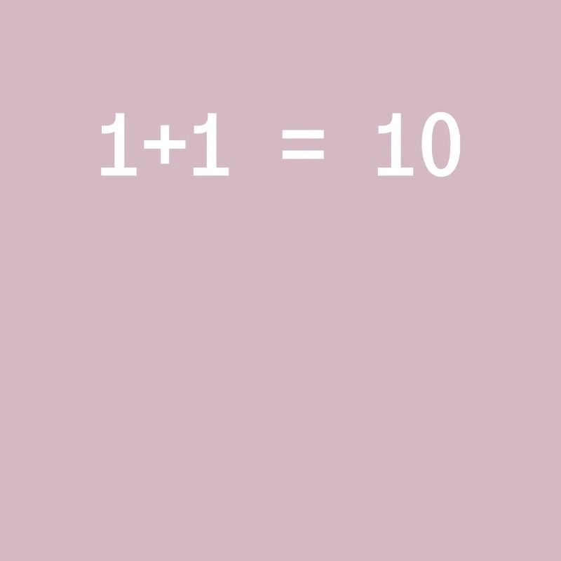 1 + 1 = 10 Programmeur drôle Informatique