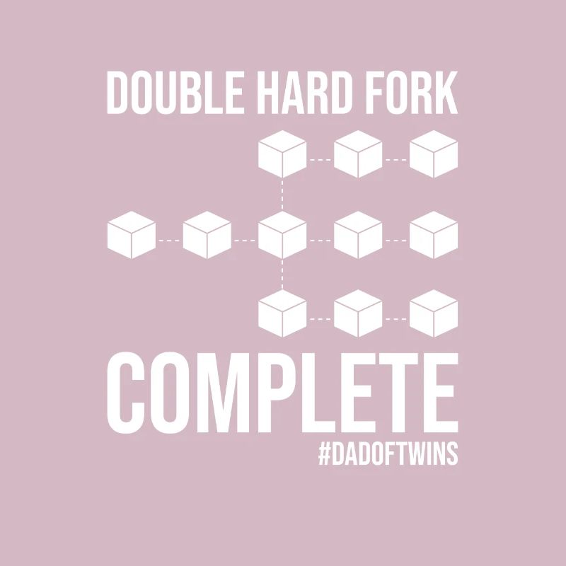 Double Hard Fork Blockchain complète Papa