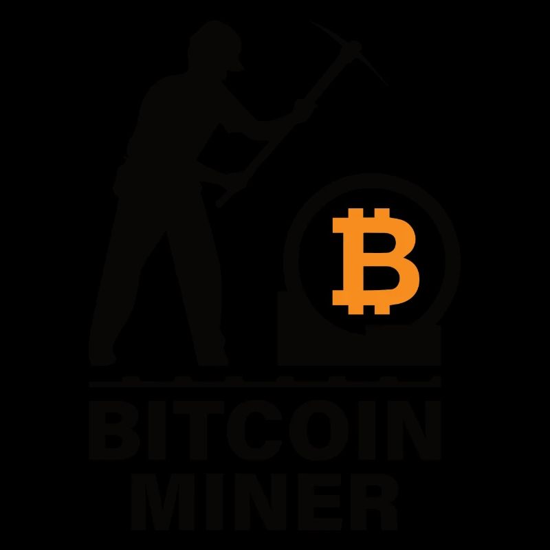 Bitcoin BTC Satoshi Miner Mining Maximalist