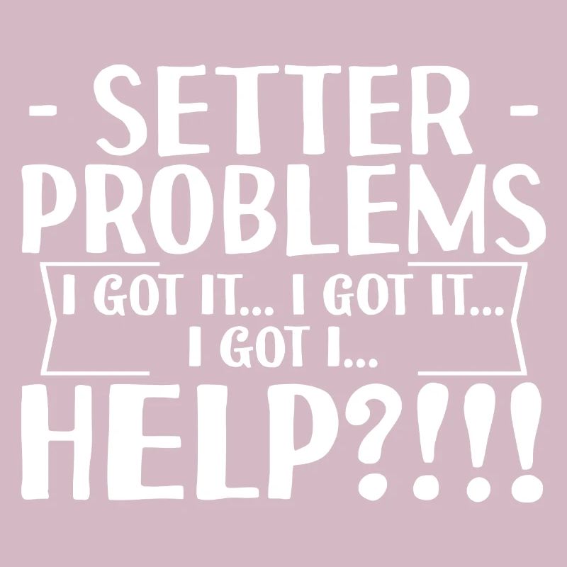 Setter Problems I Got It I Got It I Got It Help4