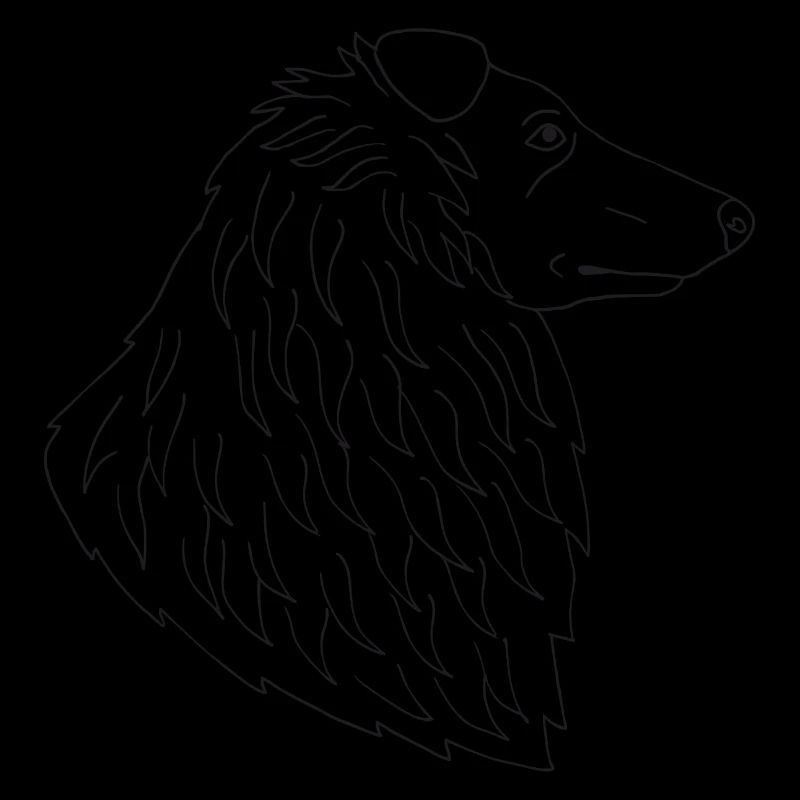 Collie
