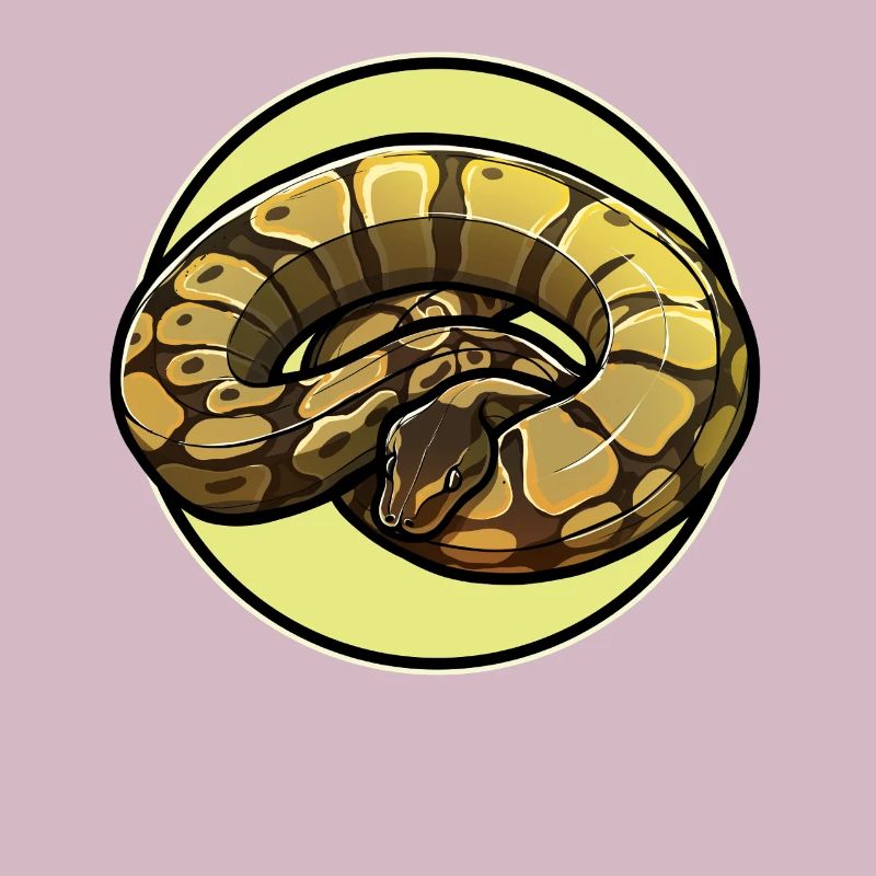 Ball Python King Python King Python