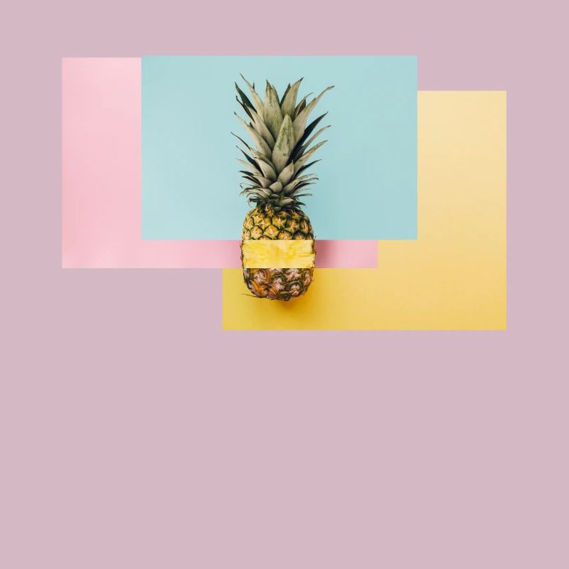 Bunte Ananas / Geschenk Idee