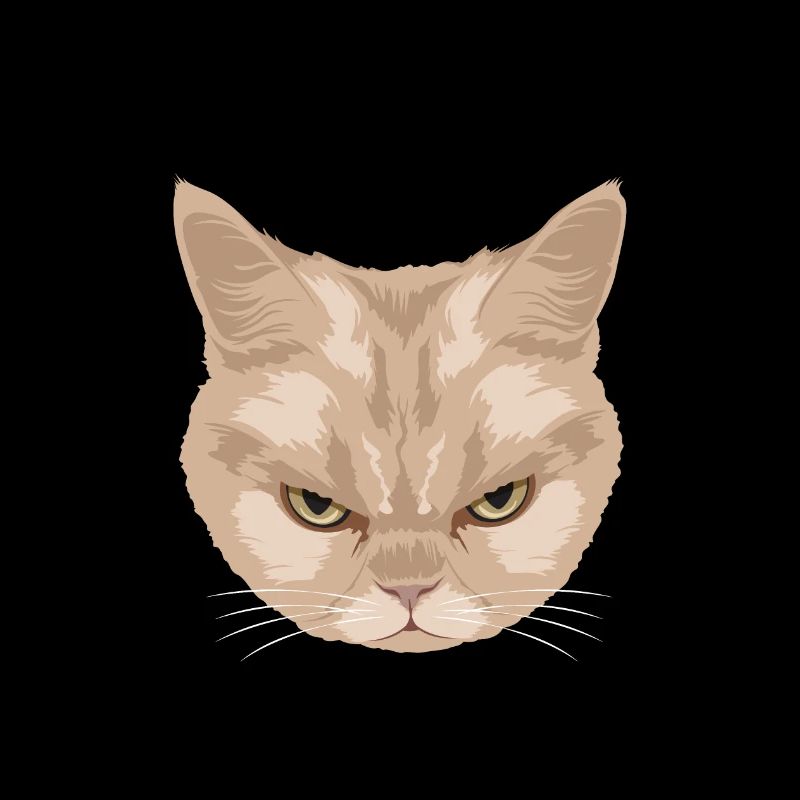 Grumpy Cat - Avant de demander_Non - P.