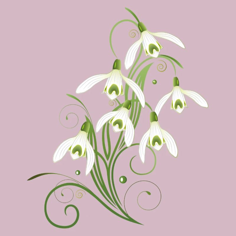 Snowdrops Flowers. Spring is coming.