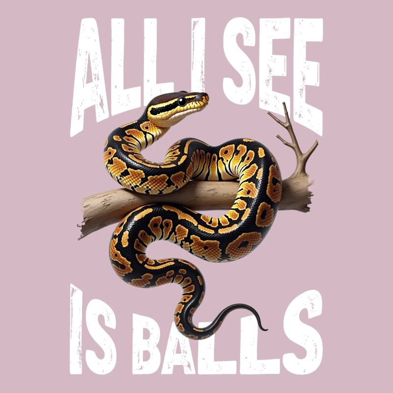 Python roi Serpents Amateurs de terrarium Python