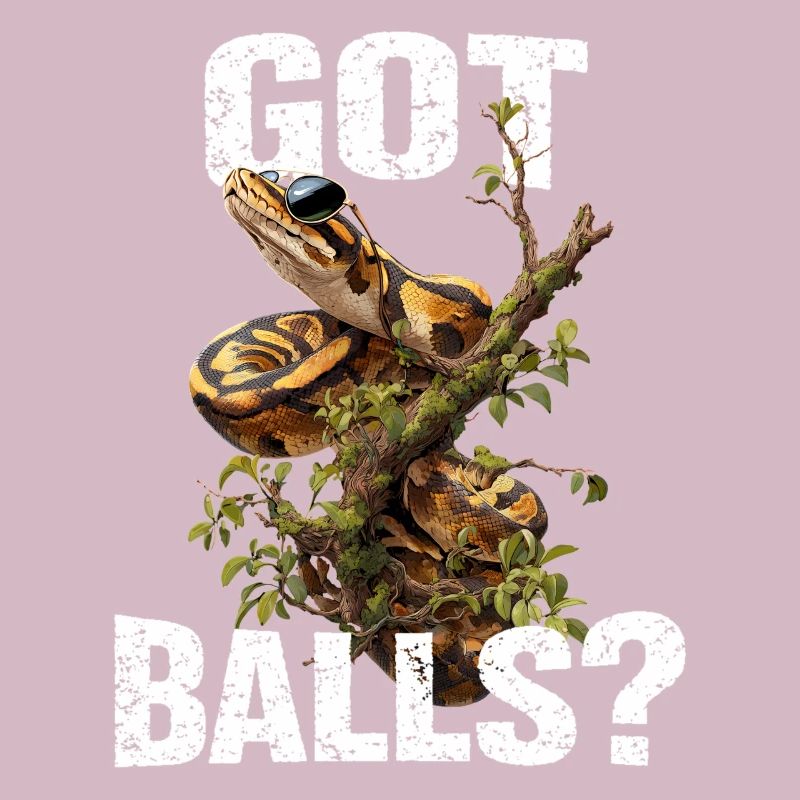 Python roi Serpents Amateurs de terrarium Python