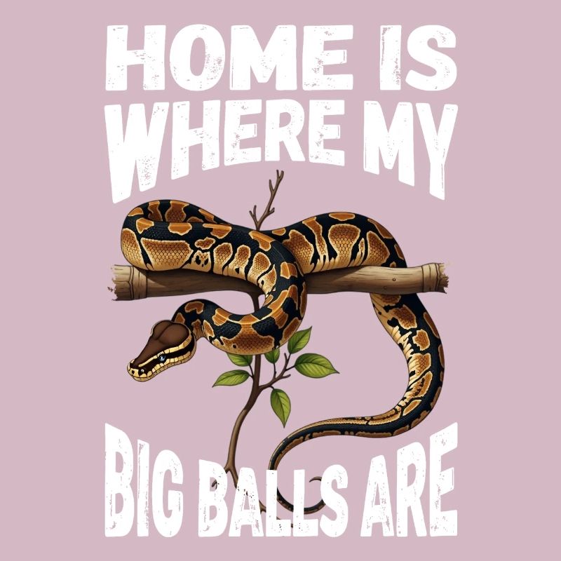 Python roi Serpents Amateurs de terrarium Python