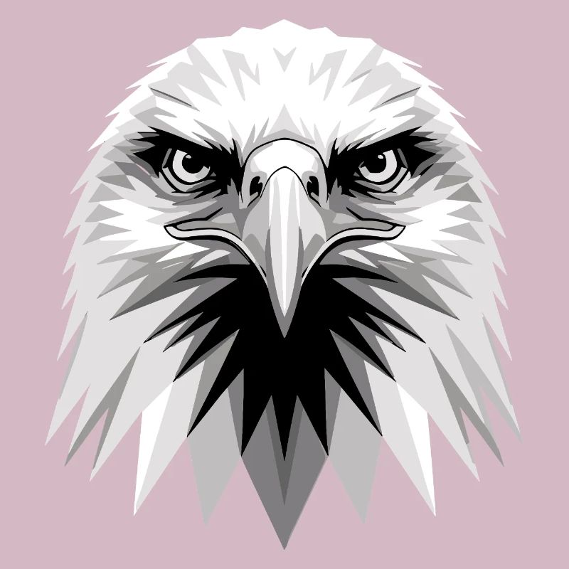 Eagle Bald Eagle Golden Eagle White-tailed Eagle
