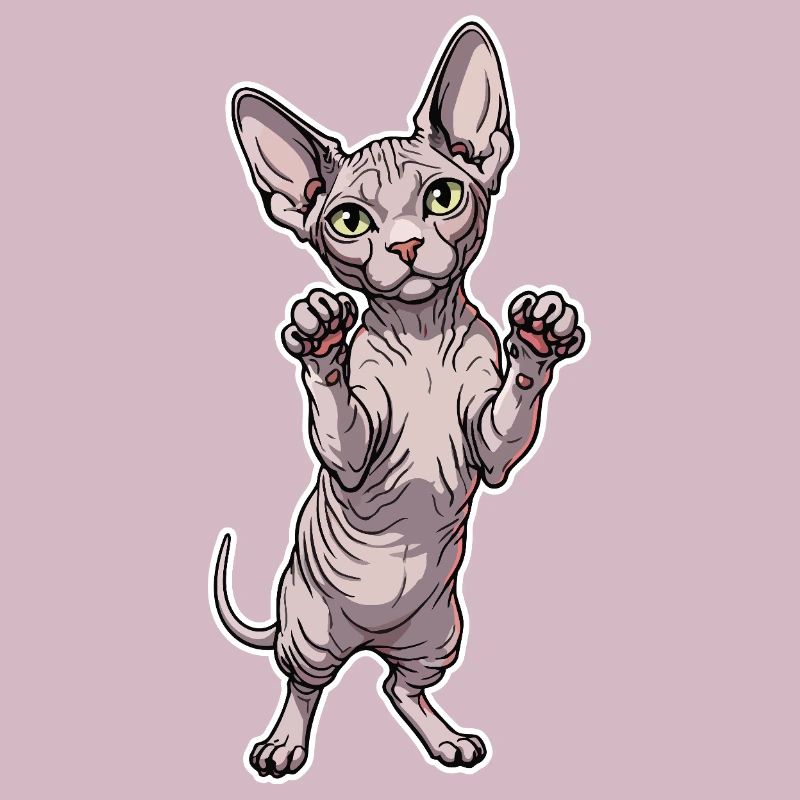 Chat Sphynx Mignon Posture Debout Portrait
