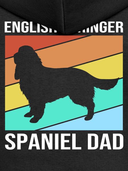 Springer Spaniel