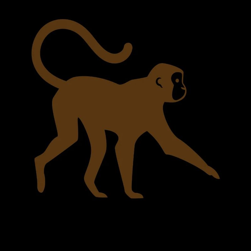 Monkey Monkey Face Wilderness Wild Animals Wild Gift