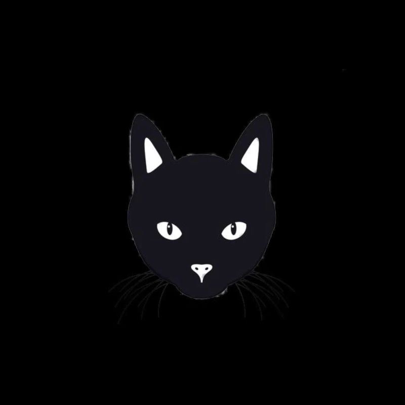 Chat noir Chat Ami Pet Cat’s Eye