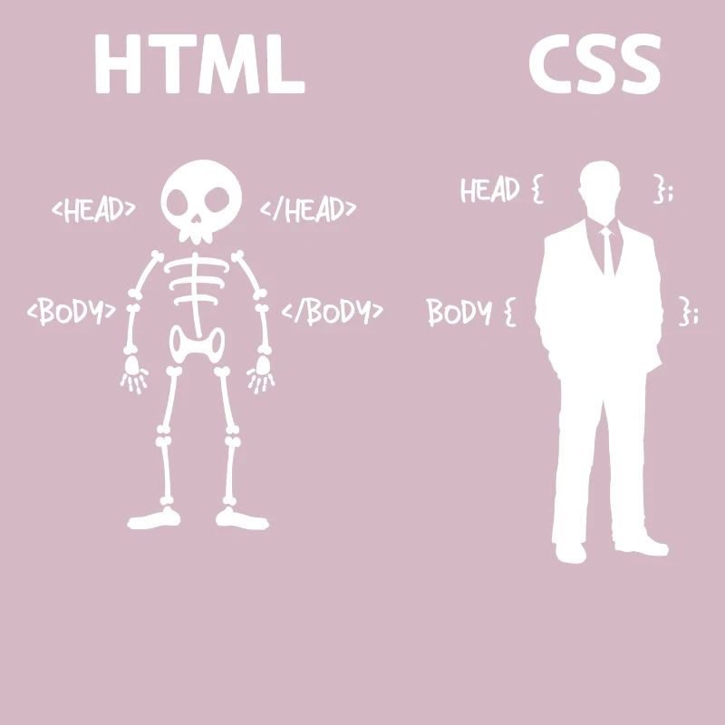 Code Css C++ Php Java Developer Code Skripting