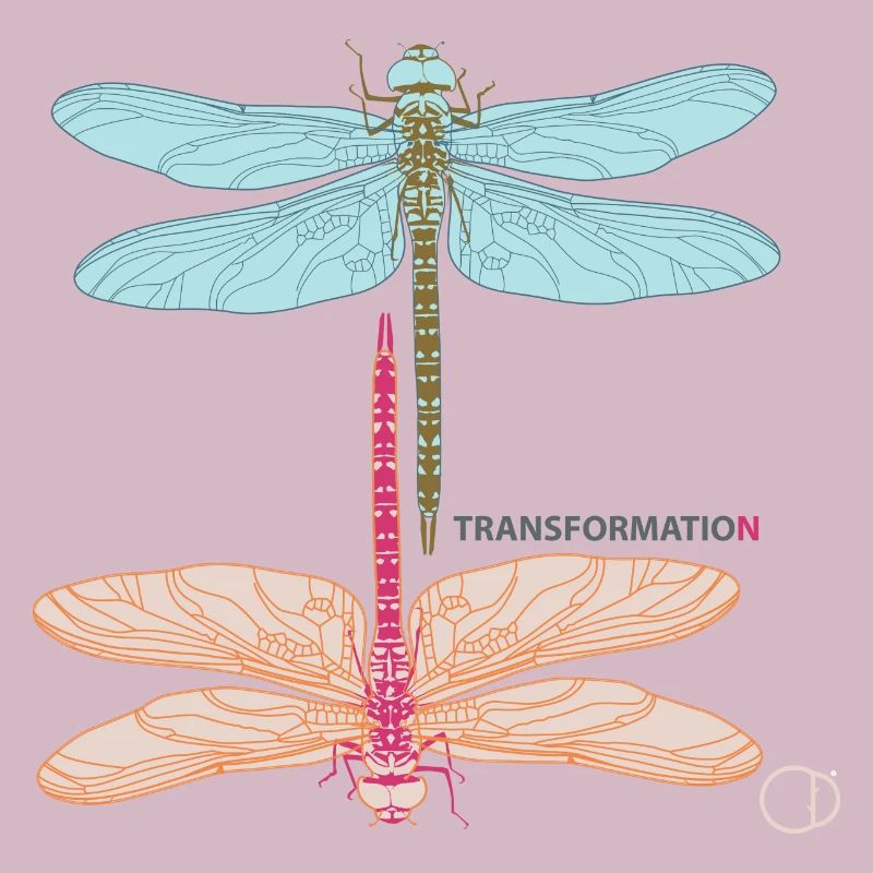 Libellen und Transformation by CD