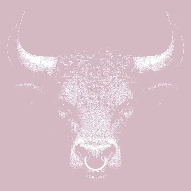 Stier