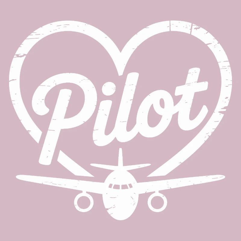 Conception d’un avion pilote