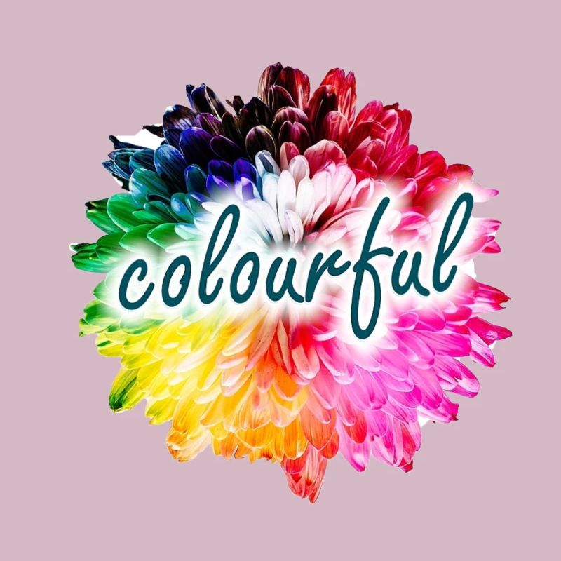 Regenbogenblume Farbexplosion
