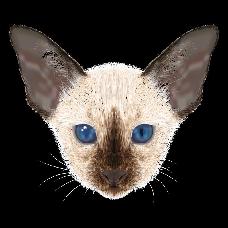 Siamese cat