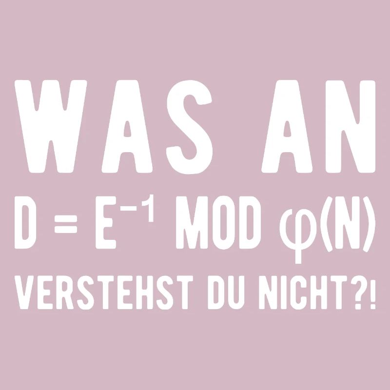 Computer Scientist Computer Science Student Programmer