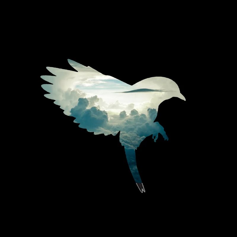 Bird Silhouette mit Hintergrund