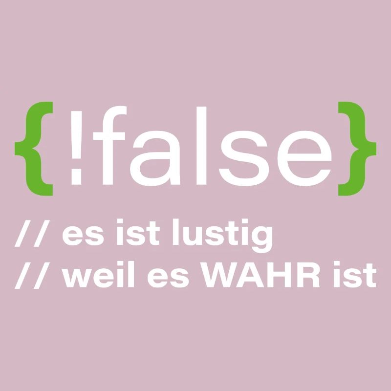 false - Lustiger Programmierer Spruch