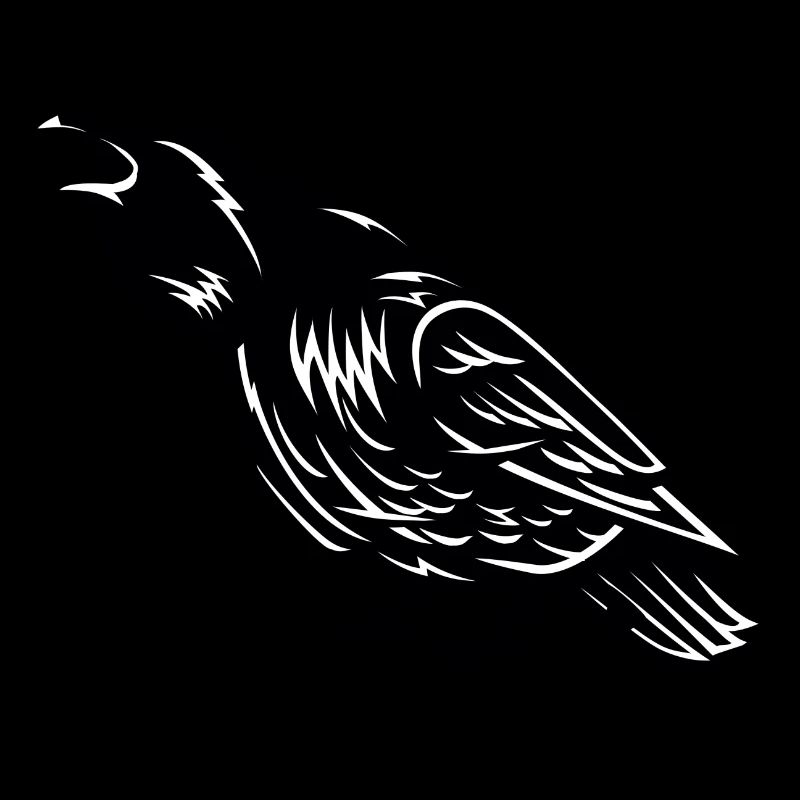 Krähe Vogel Crow