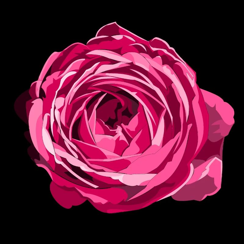 Blüte einer Roten Rose